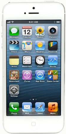 Смартфон Apple iPhone 5 32Gb White & Silver - Черногорск