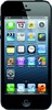 Apple iPhone 5 16GB - Черногорск