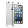 Apple iPhone 5 64Gb white - Черногорск